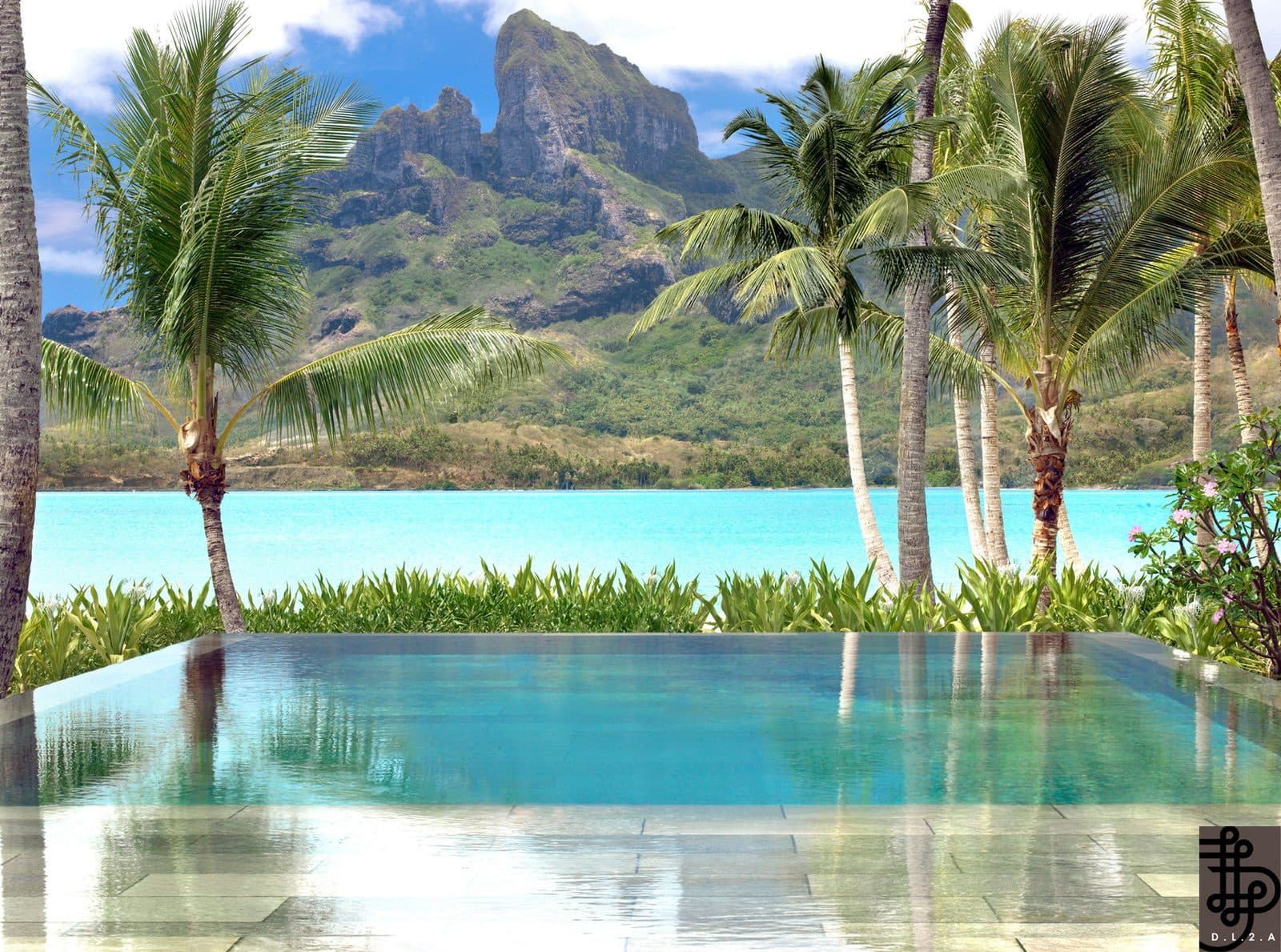 The South Pacific